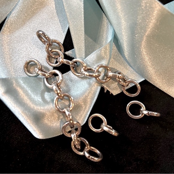 Tiffany & Co. Chain Link Clasping Charm Bracelet 100% Authentic - Picture 8 of 9